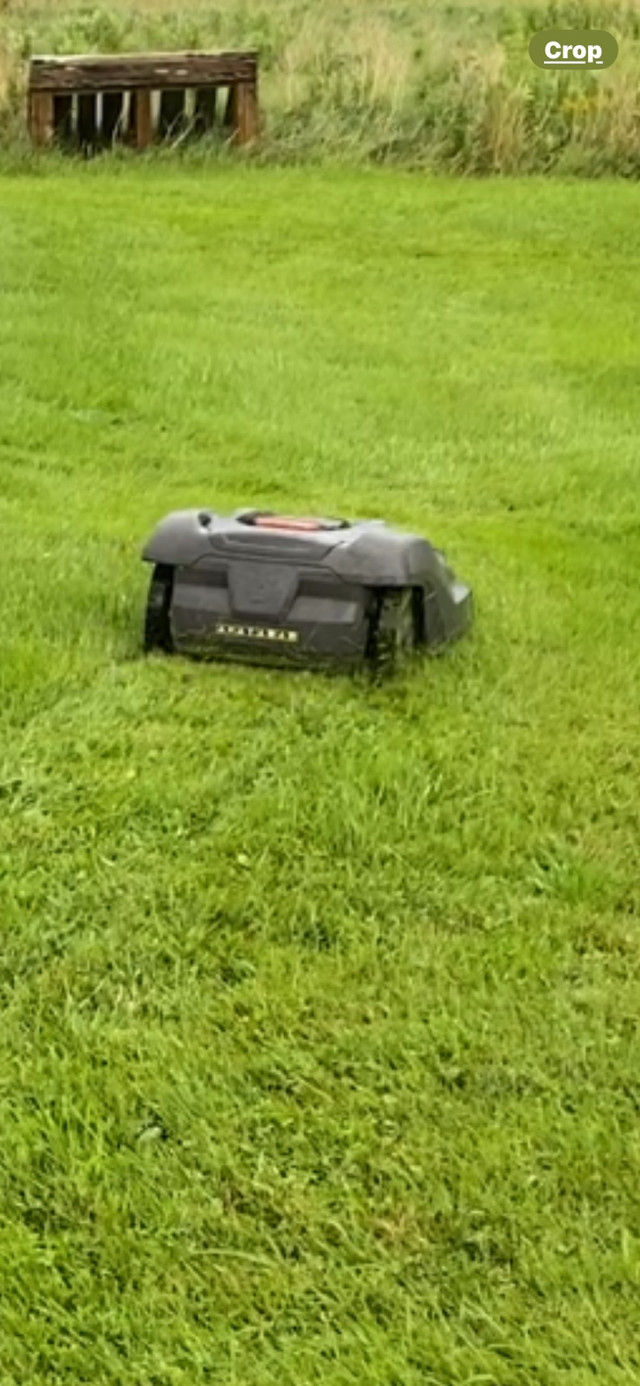 Lawnmower  in Lawnmowers & Leaf Blowers in Bedford - Image 2