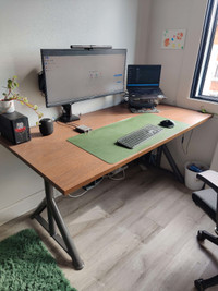 Ikea Bureau/desk Idasen
