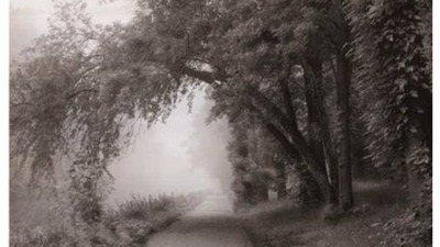 Framed Picture/Print - Titled "FOG III" by artist Igor Svibilsky, View more