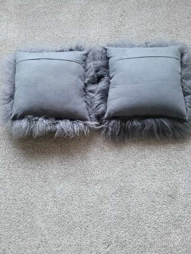 Sofa Cushions64407491603329122