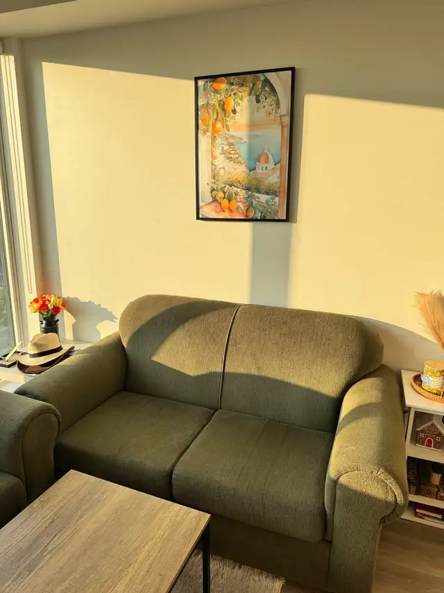 Couch set with loveseat63235066574721122