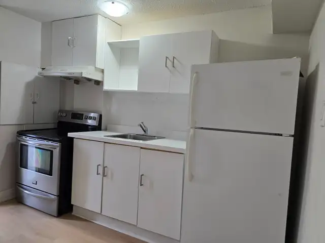 Walkout Basement with separate entrance in Long Term Rentals in City of Toronto - Image 4
