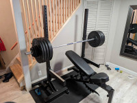 Olympic bumper plates, bar, bench and squat stands