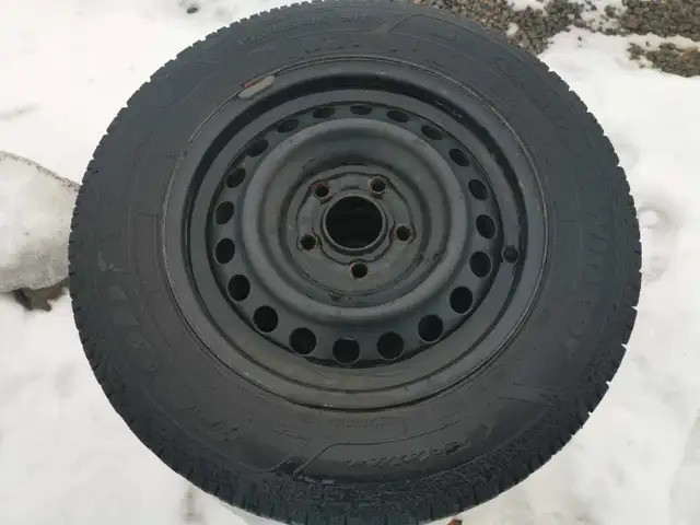 Winter Tires With Rims for Sale $300.00 in Warkworth in Tires & Rims in Trenton