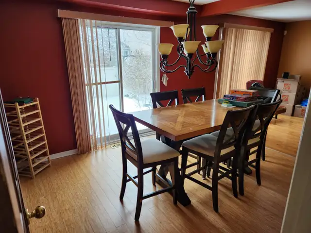Pet friendly shared accommodations working professional/student406757104608225282