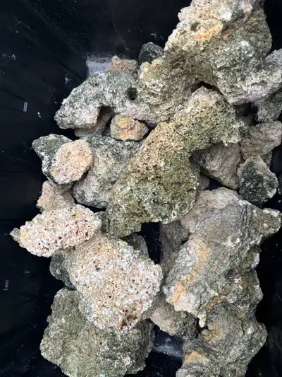 $100 per set, located in Pickering for pick up, each set came out of a 35–40 gallon aquarium, so if...