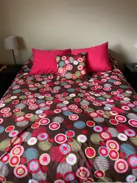 Queen Comforter Set