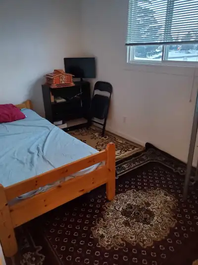 A nice room for rent