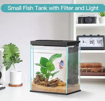 Pronetcus Betta Fish Tank, View more