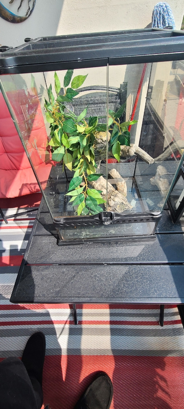 Price drop* Small exoterra terrarium - $80 obo in Reptiles & Amphibians for Rehoming in Belleville - Image 3