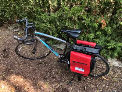 Raleigh Capri VR, View more