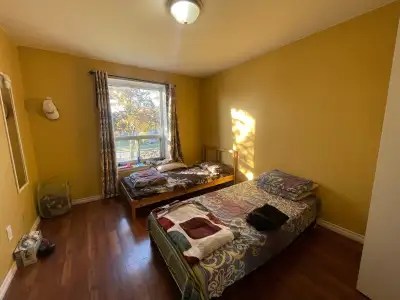 1 Room for Couple or 2 Girls at Malton. Rent $425 each include Utilities & Wifi. Near to Bus stop,Gr...