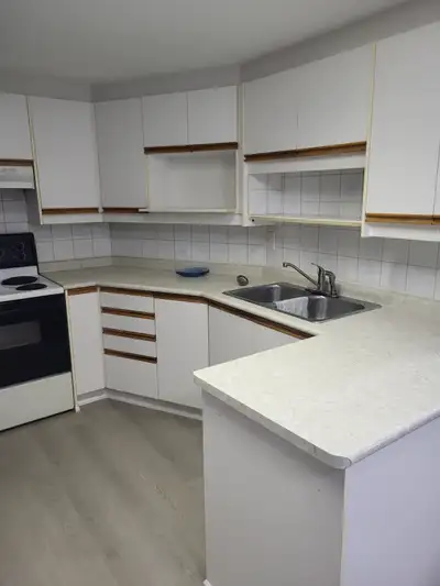 Basement unit for rent - s.suzanne0315@gmail.com