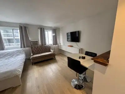 Fully Furnished Studio - Golden Square Mile - Studio meublé