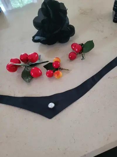 Costume jewelry group: -3 Cherry pins of various sizes -Black silk rose pin -cloth choker with pearl...