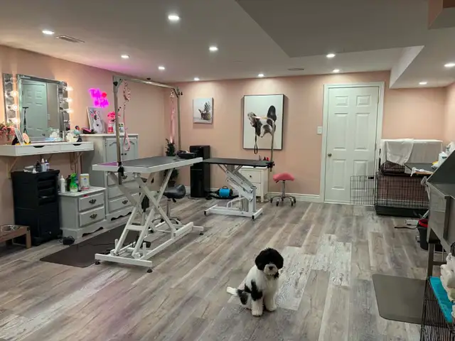 Routine Cleaning Service574686679354593289