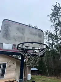 Free basketball net 