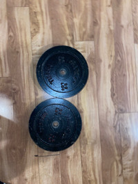 25 pound marcy metal weight plates 