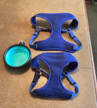 Dog harness and small travel bowl