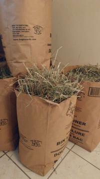 Guineapig hay or  food pellets 5lb/$10