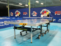 Double Fish DF-339 Outdoor Ping Pong Table (Double Folding) – My