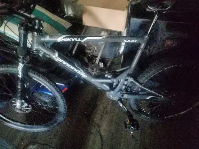 Cannondale Jekyll 1000, View more