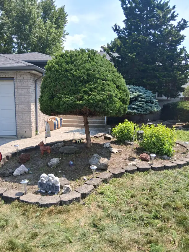 J&R Landscaping - Bush, Hedge, Cedar & Tree Trimming Promotion