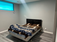 2 bedroom basement $1500