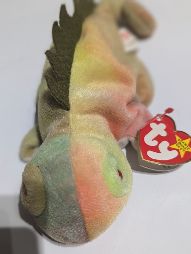 Iggy ty beanie baby  in Toys & Games in Cambridge