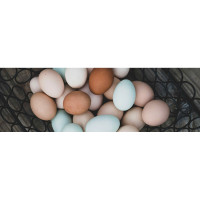Fresh Eggs Daily - Tweed walking distance