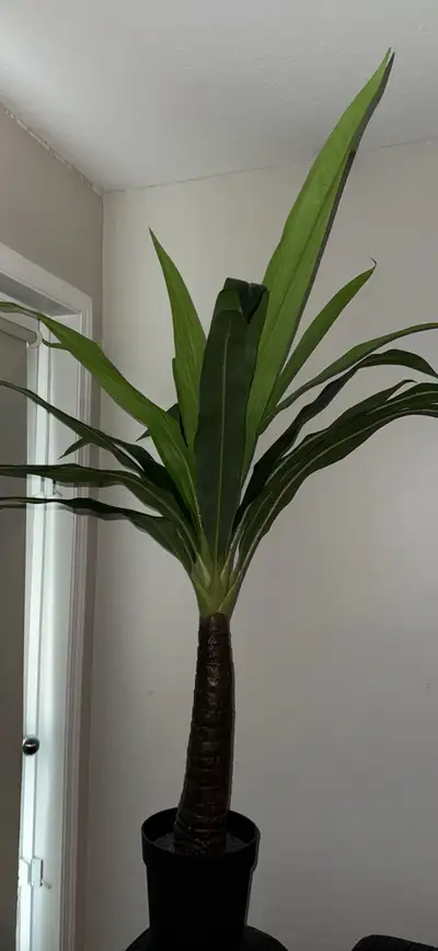 Artificial plant, View more