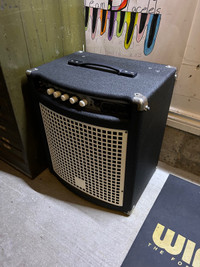 Guitar amp/speaker