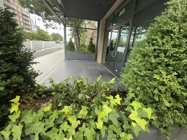 Registered Massage Therapy  Clinic -Toronto in Massage Services in City of Toronto - Image 3