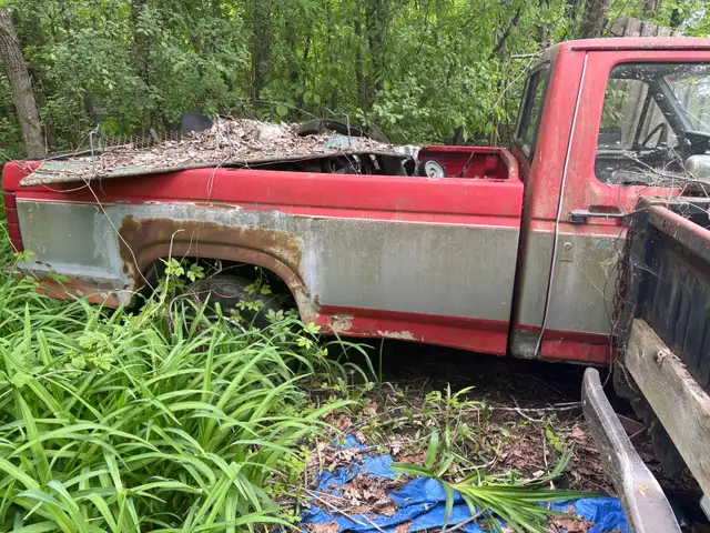 Ford f-150561999718447196162
