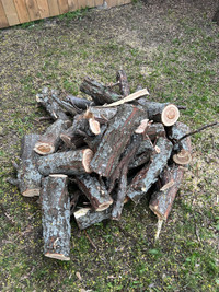 Wood for burning. Free