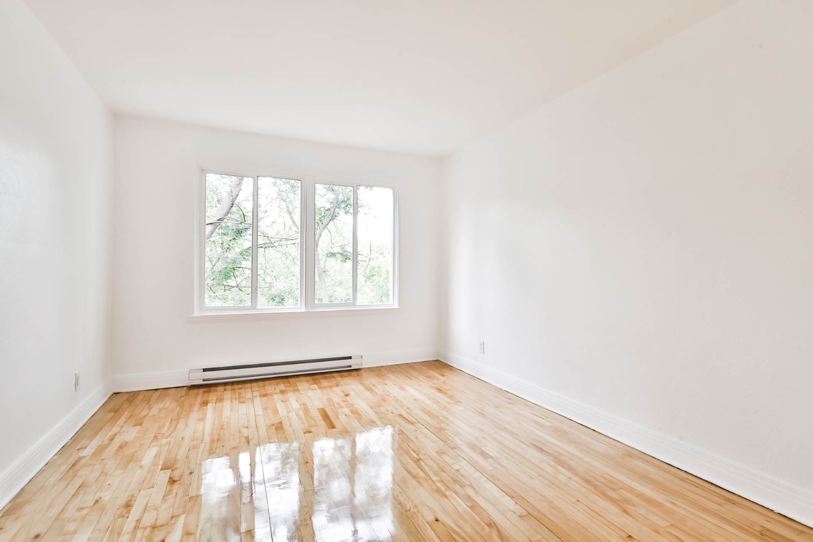 3860 Avenue Linton — photo 2