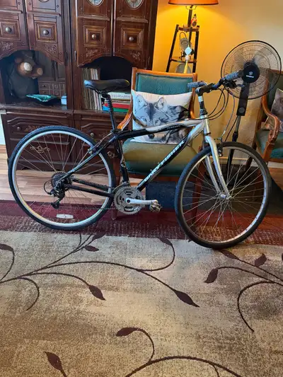 21 SPEED GARY FISHER HYBRID ZEBRAND, View more