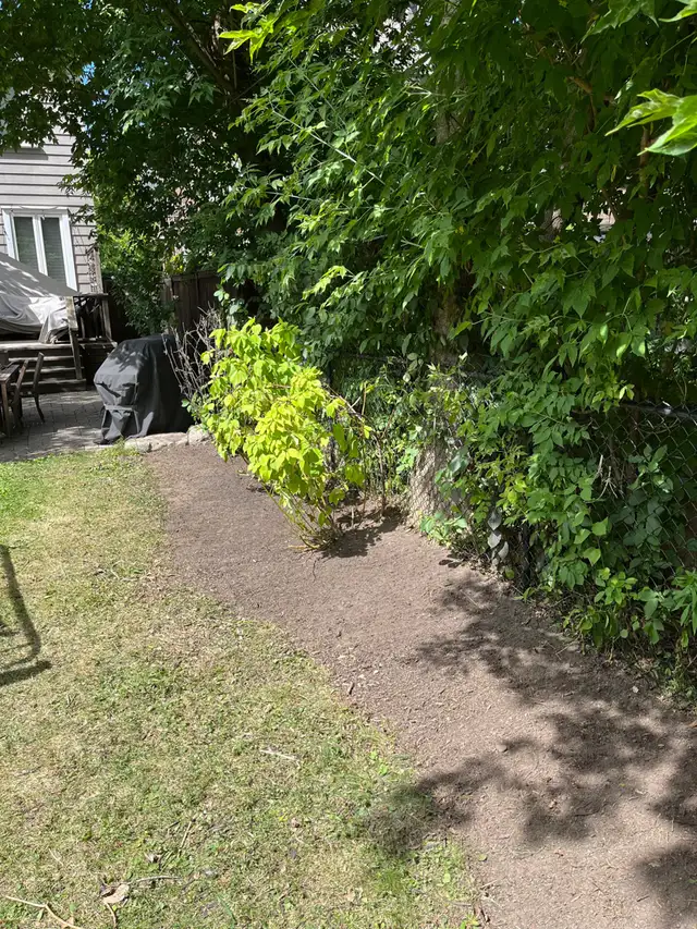 Landscaping and lawn care services GTA63005663687683122