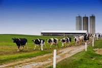 Farm Mortgage Options