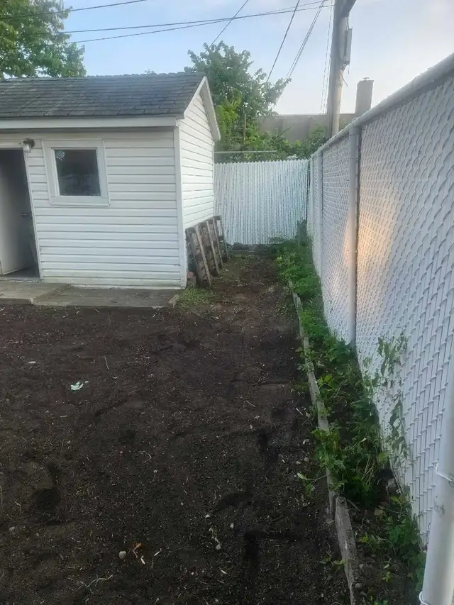 debris removal519876598952120324