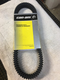 Can-am V-belt 422280364