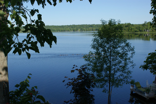 Live On The Lake in Long Term Rentals in Belleville - Image 2