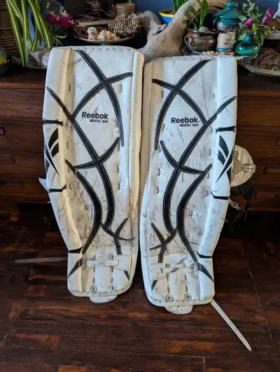 Goalie equipment, View more
