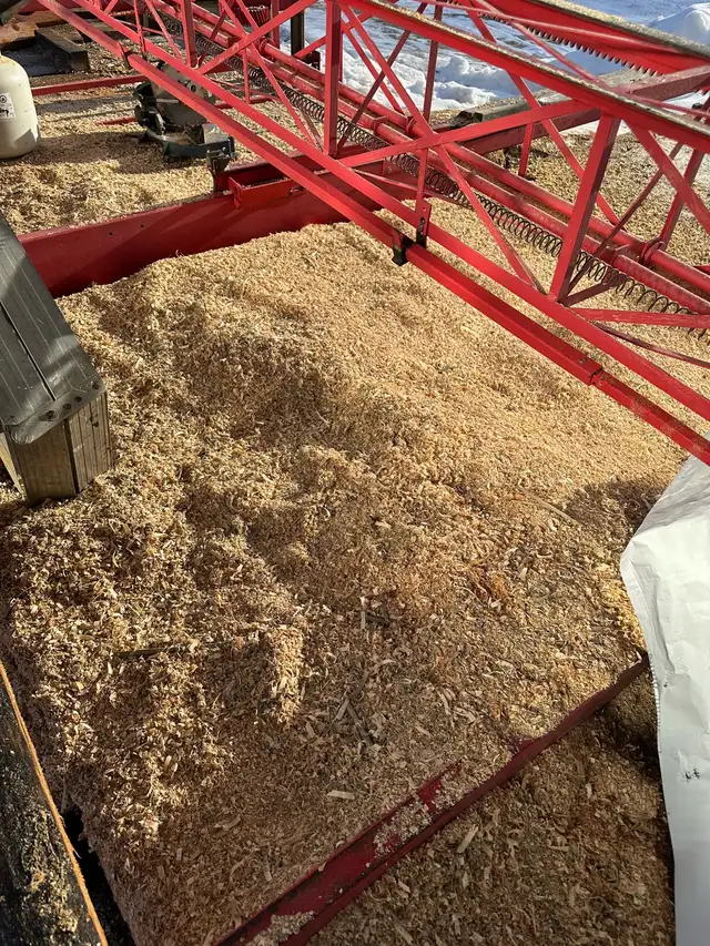 clean coarse sawdust  in Plants, Fertilizer & Soil in St. Albert - Image 3