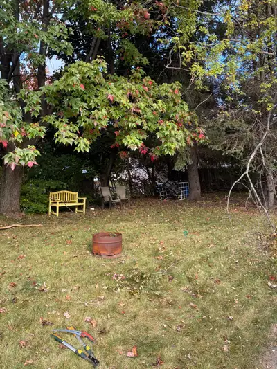 professional grass cutter, View more