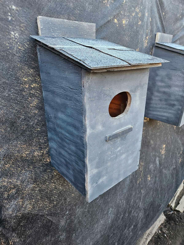 Cabane-nid à canards dans Animaux de ferme  à Ville de Montréal