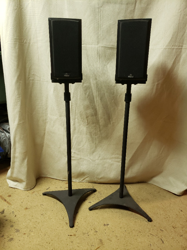 Magnat Vector Needle 11 Speaker Pair With Floor Stands in Speakers in Ottawa