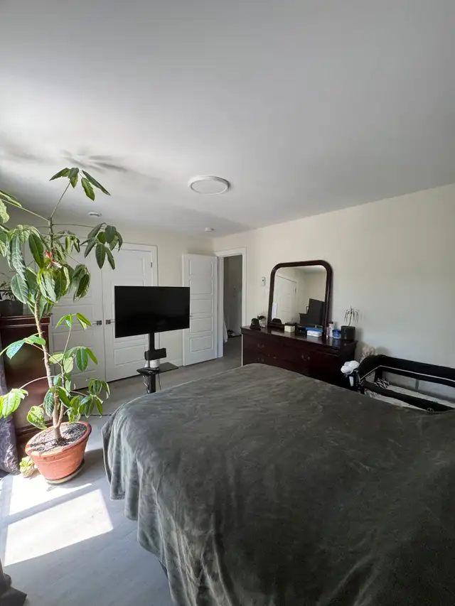 LUXUEUX  5 1/2  À LOUER À MONTRÉAL-EST in Long Term Rentals in City of Montréal - Image 5