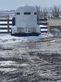 Lightweight 1 or two horse livestock trailer 