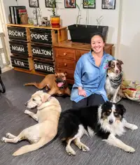 Toilettage, Pension pour chien et Comportment canin